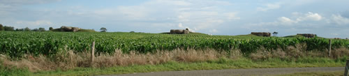 foto bunkers al llarg de les platges de Normandia